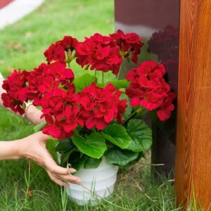 35cm פרחי גרניום אדום פרחים מלאכותיים לגינה חתונות וימי הולדת